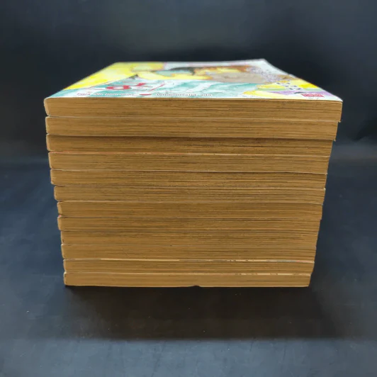หนังสือการ์ตูน เจ้าหญิงจอมจุ้นกับรักวุ่นๆในวัง เล่ม 1-12 รูปที่ 3
