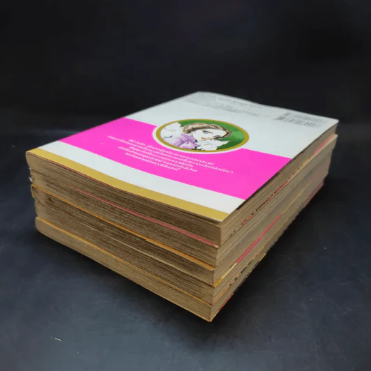 เจ้าสาวซาตาน เล่ม 1,9,11,13,14 รูปที่ 7