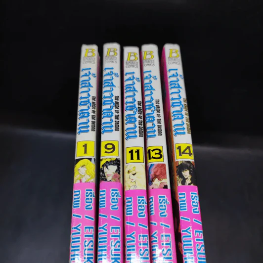 เจ้าสาวซาตาน เล่ม 1,9,11,13,14 รูปที่ 2