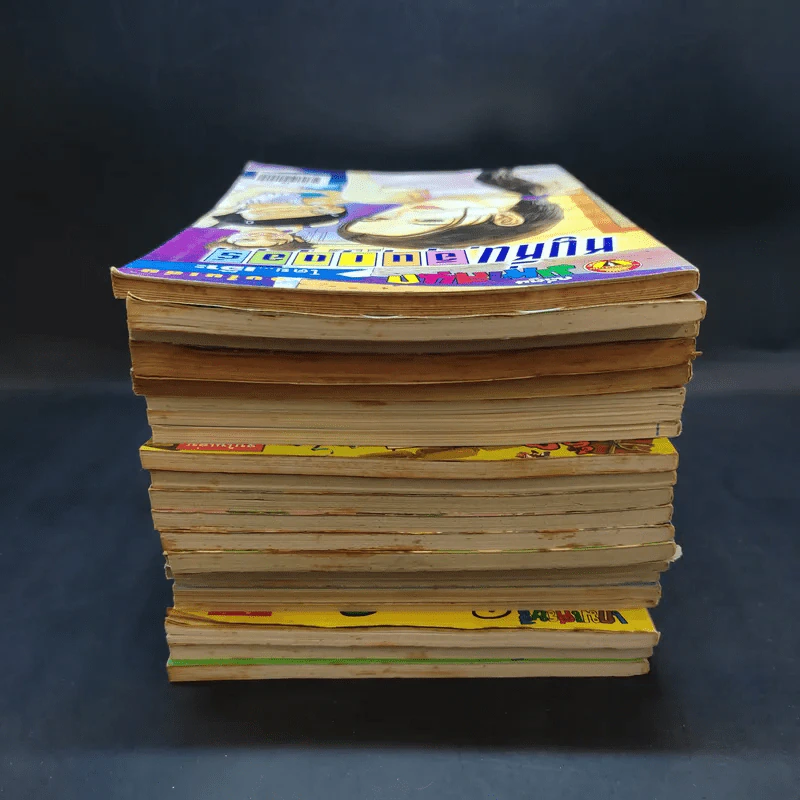 ขายเหมาการ์ตูนแก๊กหลายแนว รวม 22 เล่ม รูปที่ 4