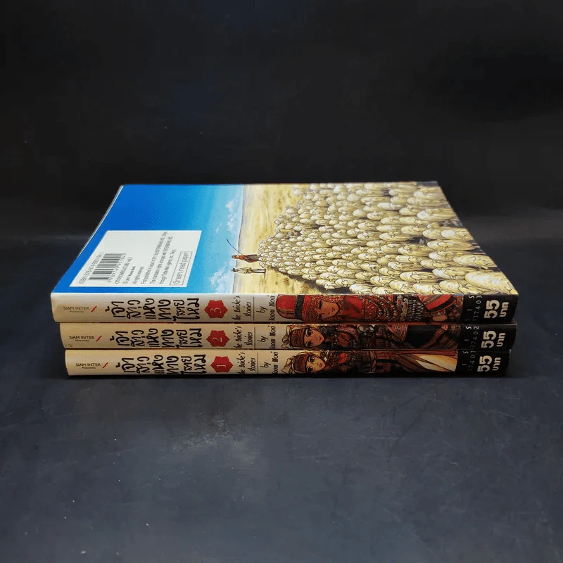 เจ้าสาวแห่งทางสายไหม เล่ม 1-3 รูปที่ 2