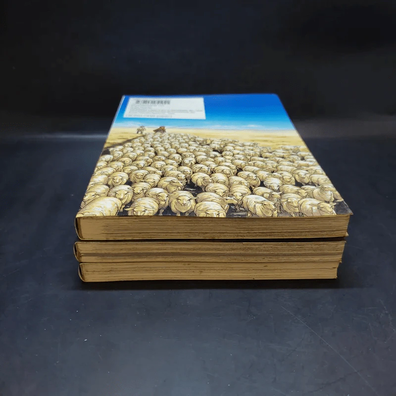 เจ้าสาวแห่งทางสายไหม เล่ม 1-3 รูปที่ 3