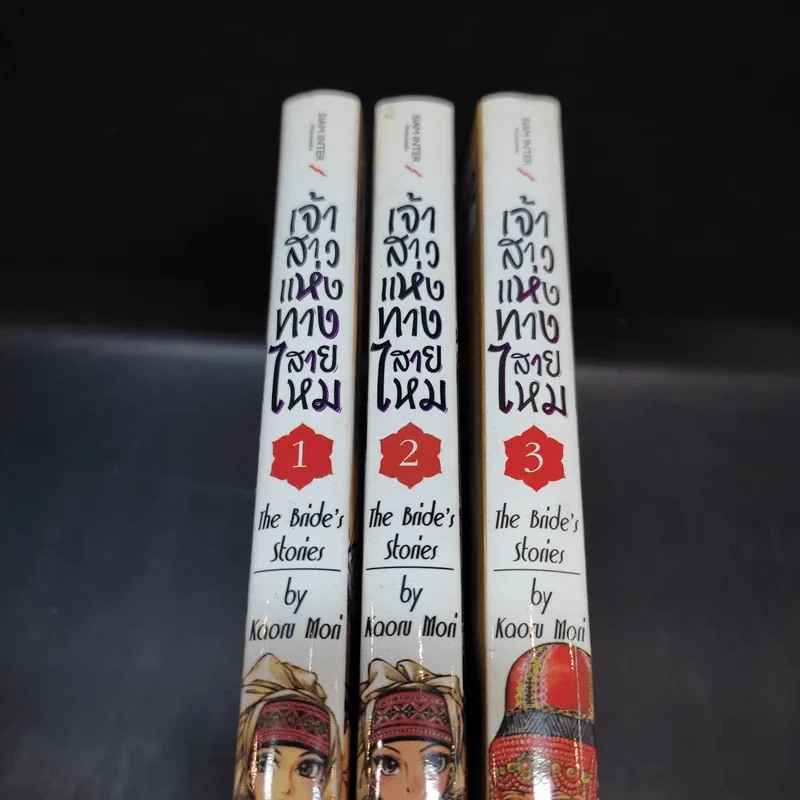 เจ้าสาวแห่งทางสายไหม เล่ม 1-3 รูปที่ 13
