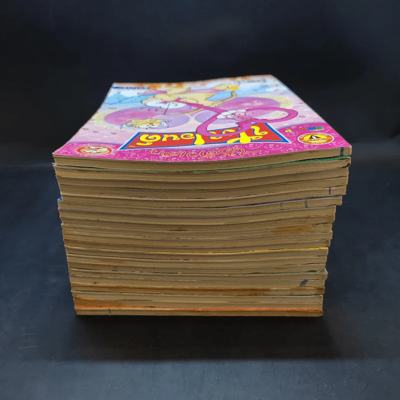 ปังปอนด์ ขายรวม 20 เล่ม รูปที่ 5
