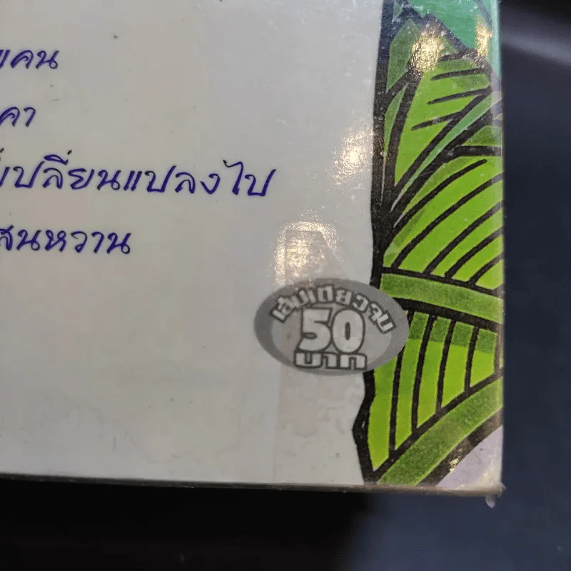 กระบองเพชรสื่อรัก รวมเรื่องสั้นของฟูยูมิ โซเรียว 2 รูปที่ 17