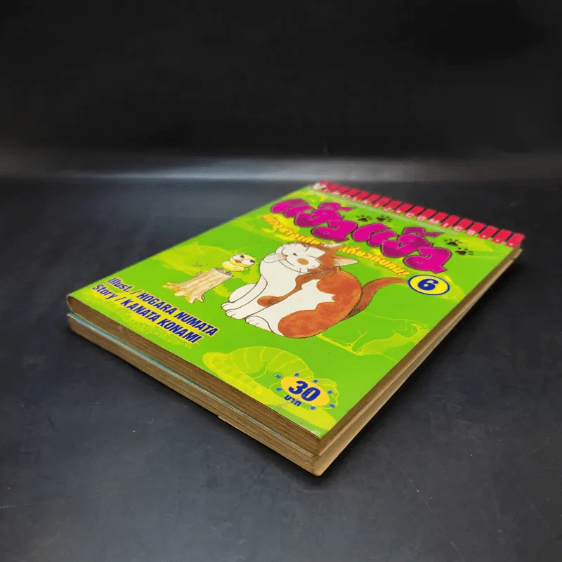 แง้วแง้ว แมวอย่างเดียวไม่เกี่ยวกับคน เล่ม 4,6 รูปที่ 7