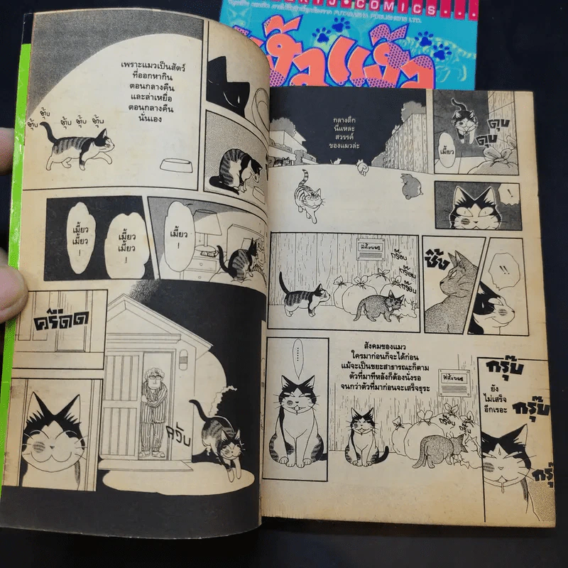 แง้วแง้ว แมวอย่างเดียวไม่เกี่ยวกับคน เล่ม 4,6 รูปที่ 9