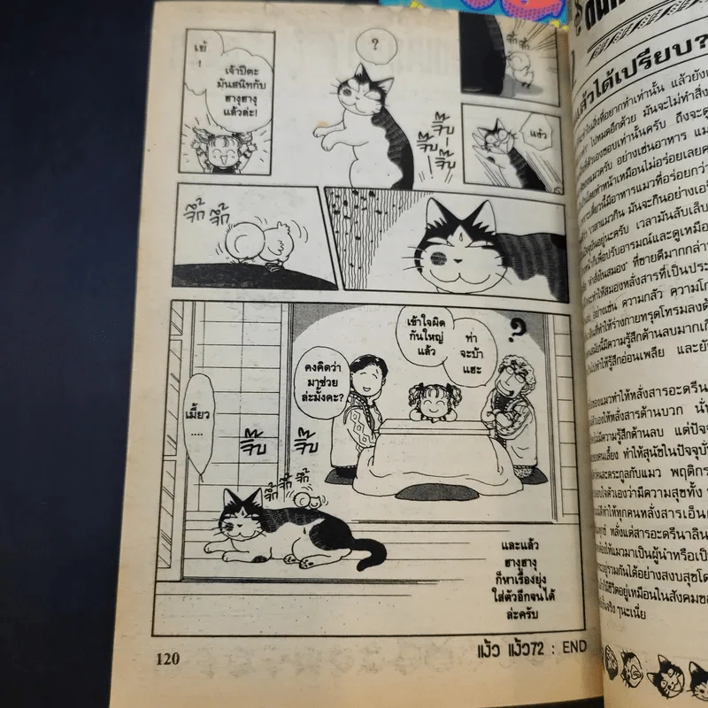 แง้วแง้ว แมวอย่างเดียวไม่เกี่ยวกับคน เล่ม 4,6 รูปที่ 12