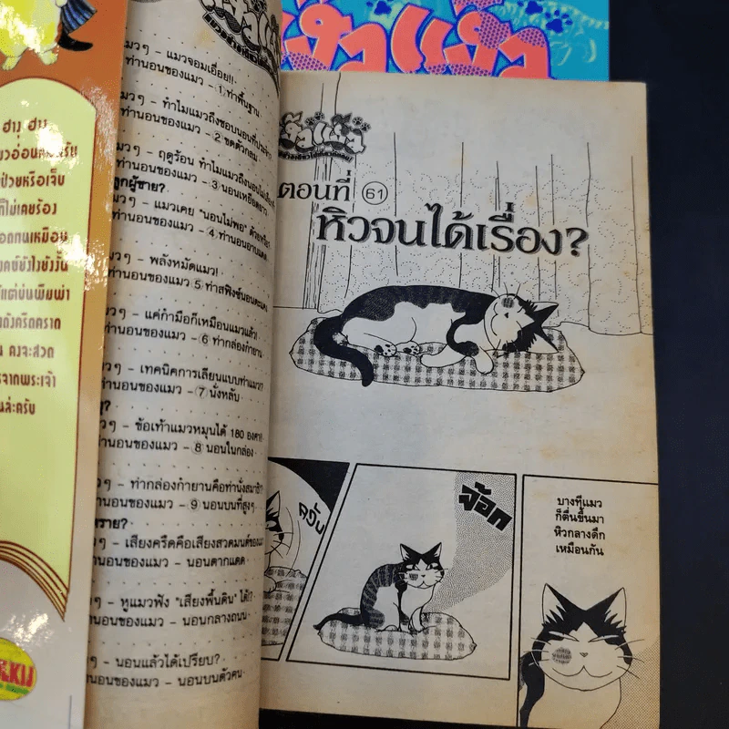 แง้วแง้ว แมวอย่างเดียวไม่เกี่ยวกับคน เล่ม 4,6 รูปที่ 8
