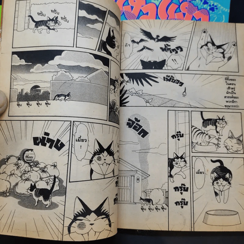 แง้วแง้ว แมวอย่างเดียวไม่เกี่ยวกับคน เล่ม 4,6 รูปที่ 10