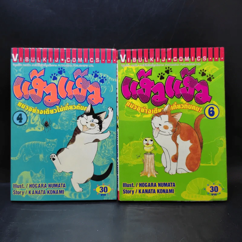 แง้วแง้ว แมวอย่างเดียวไม่เกี่ยวกับคน เล่ม 4,6 รูปที่ 1