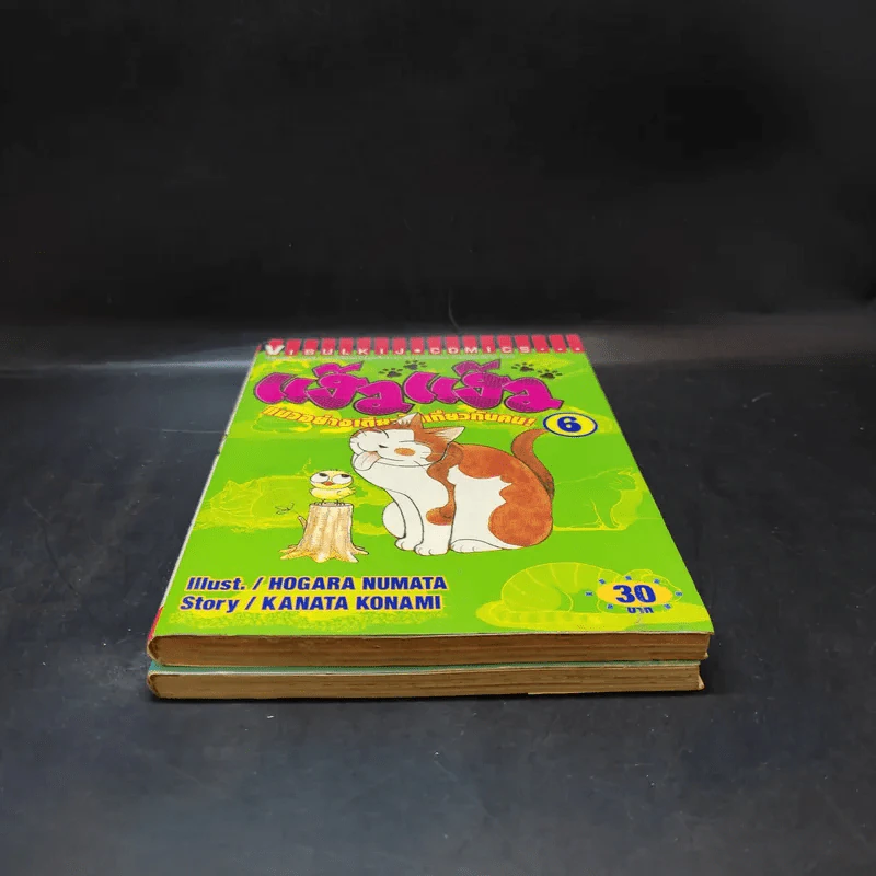 แง้วแง้ว แมวอย่างเดียวไม่เกี่ยวกับคน เล่ม 4,6 รูปที่ 4