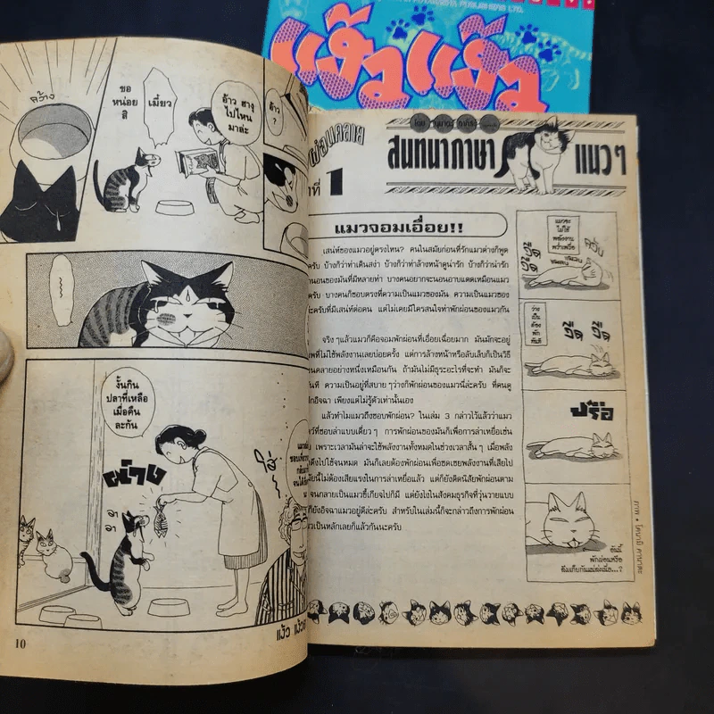 แง้วแง้ว แมวอย่างเดียวไม่เกี่ยวกับคน เล่ม 4,6 รูปที่ 11