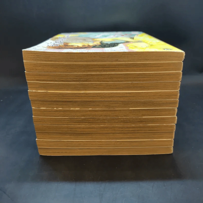 หนังสือการ์ตูน เจ้าหญิงจอมจุ้นกับรักวุ่นๆในวัง เล่ม 1-12 รูปที่ 5