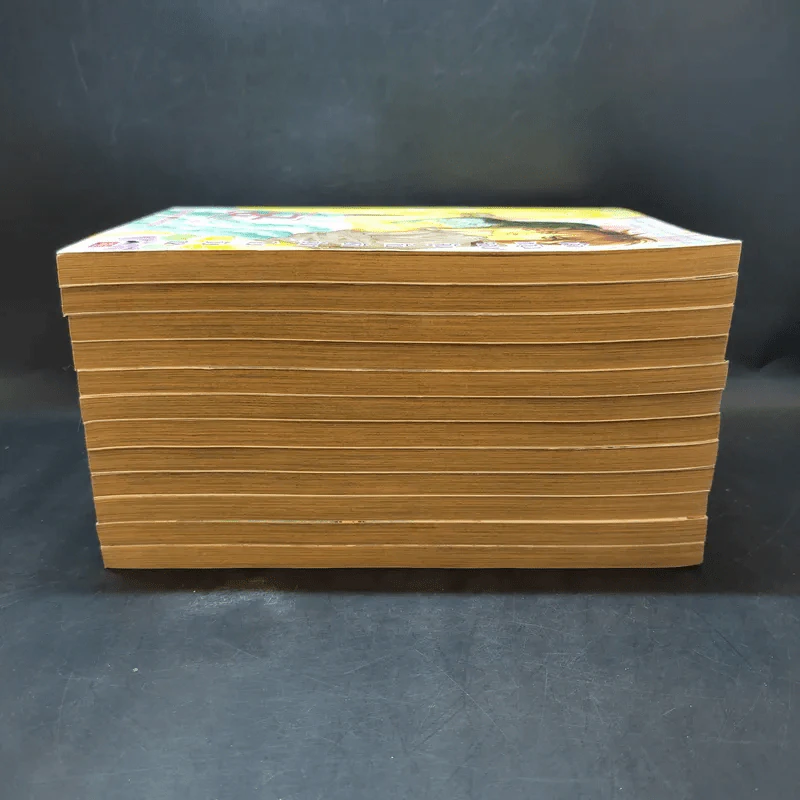 หนังสือการ์ตูน เจ้าหญิงจอมจุ้นกับรักวุ่นๆในวัง เล่ม 1-12 รูปที่ 4