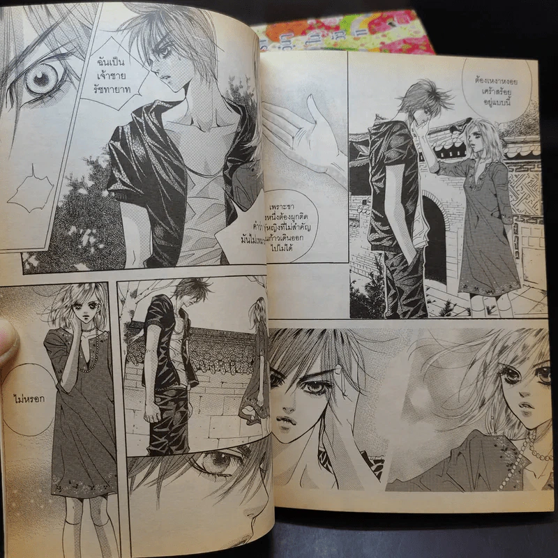 หนังสือการ์ตูน เจ้าหญิงจอมจุ้นกับรักวุ่นๆในวัง เล่ม 1-12 รูปที่ 9