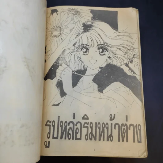 รูปหล่อริมหน้าต่าง รูปที่ 9