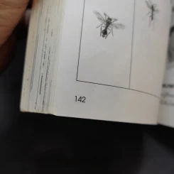 การ์ตูนความรู้ ชุด คนของโลก ฌอง อองรี เฟเบรอ รูปที่ 12