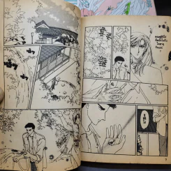 Wish 4 เล่มจบ - Clamp รูปที่ 11