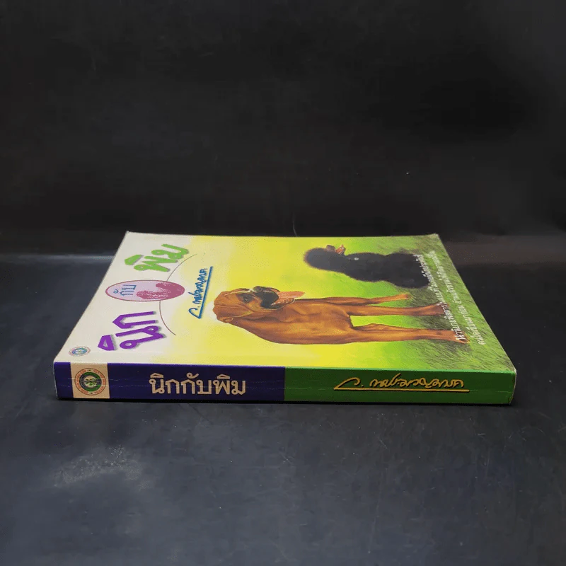 นิกกับพิม - ว.ณ ประมวลมารค รูปที่ 3