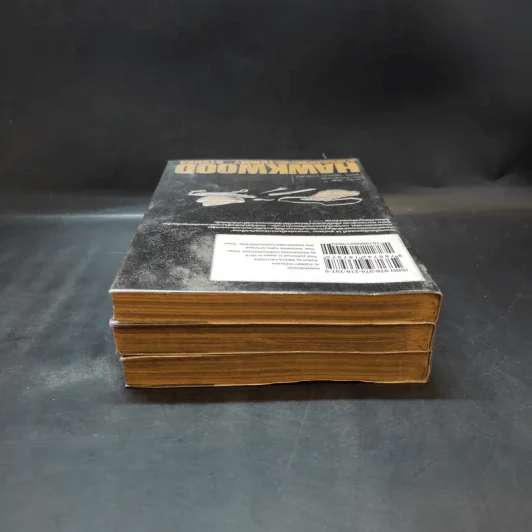 วีรบุรุษแผ่นดินเดือด Hawkwood เล่ม 1-3 รูปที่ 6