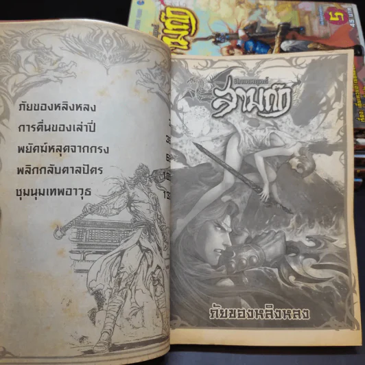 ศึกเทพยุทธ์สามก๊ก 6 เล่มจบ รูปที่ 10