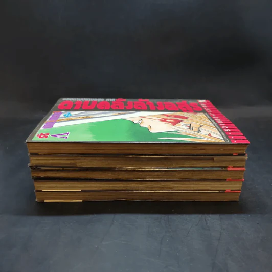 จอมดาบปราบอสูร ภาค ดาบคลั่งล้างอสูร เล่ม 1-5 รูปที่ 4