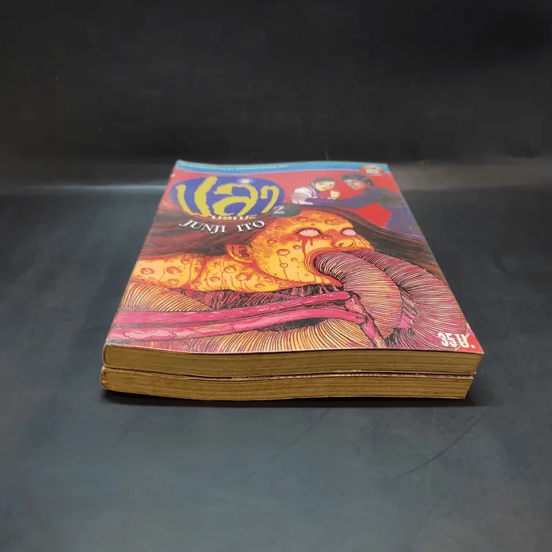ปลามรณะ 2 เล่มจบ - Junji Ito รูปที่ 4