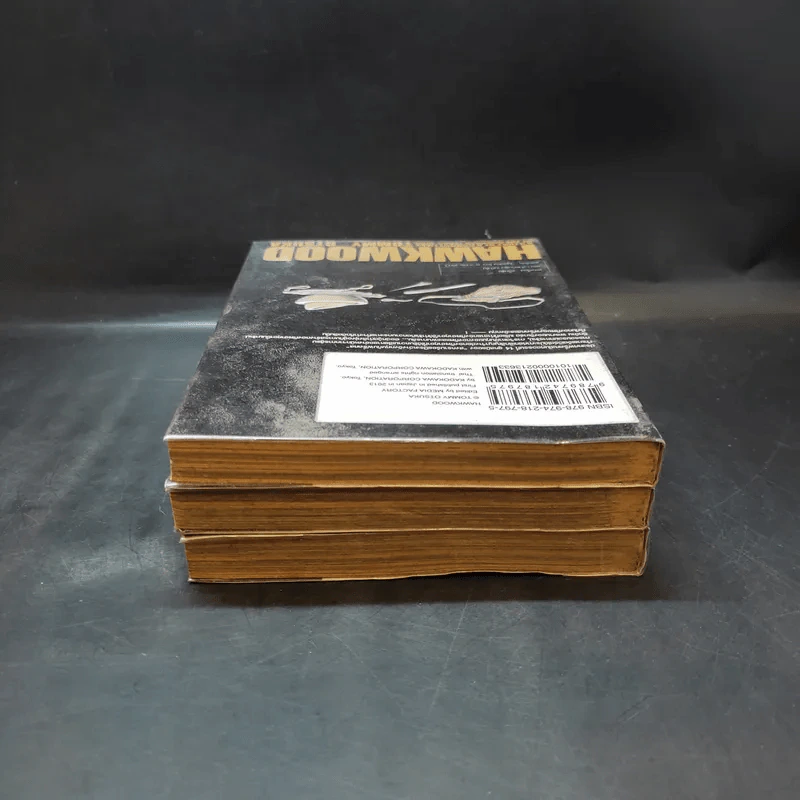 วีรบุรุษแผ่นดินเดือด Hawkwood เล่ม 1-3 รูปที่ 6