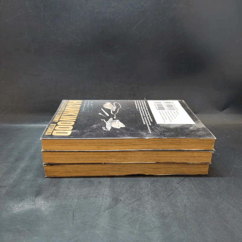 วีรบุรุษแผ่นดินเดือด Hawkwood เล่ม 1-3 รูปที่ 5