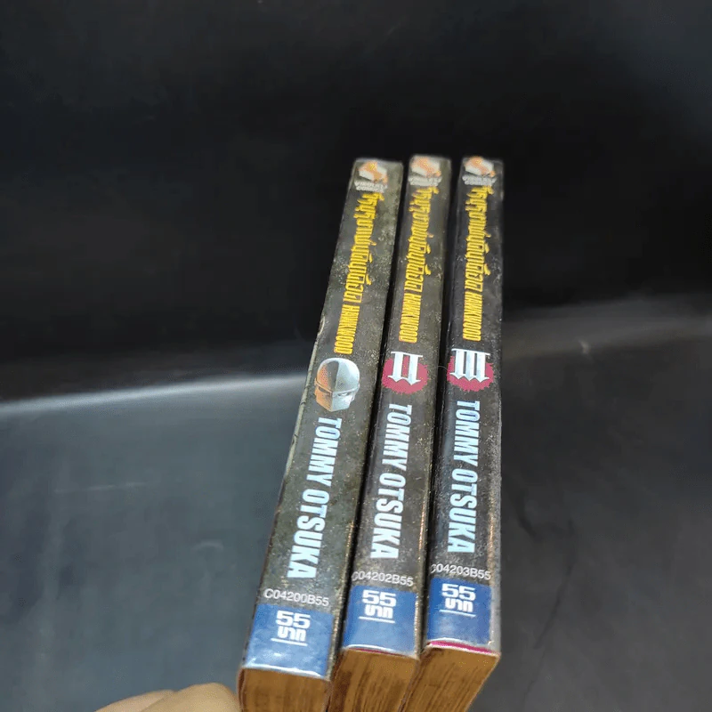 วีรบุรุษแผ่นดินเดือด Hawkwood เล่ม 1-3 รูปที่ 8