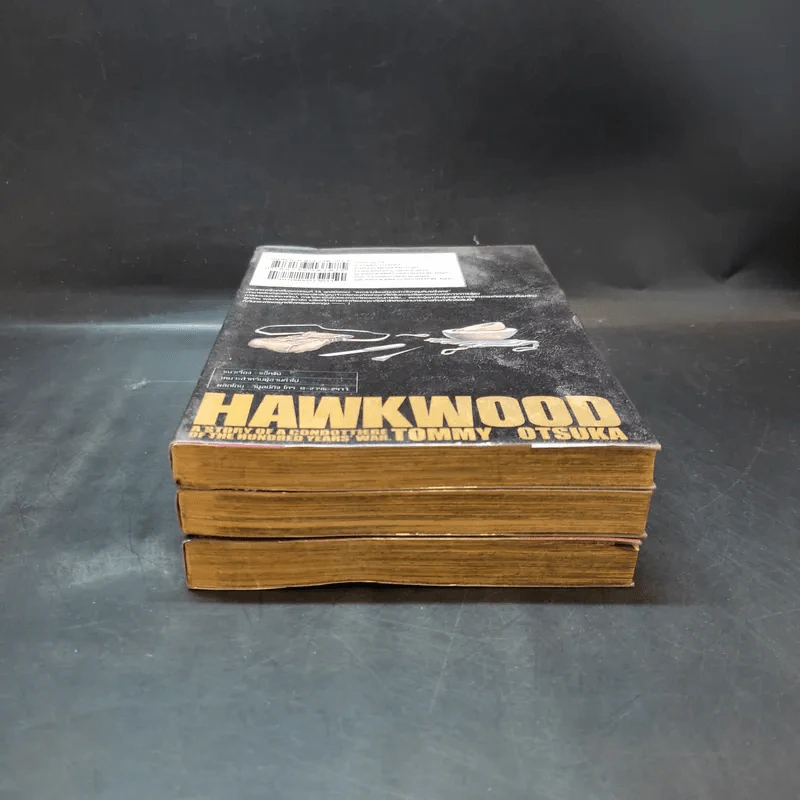 วีรบุรุษแผ่นดินเดือด Hawkwood เล่ม 1-3 รูปที่ 4