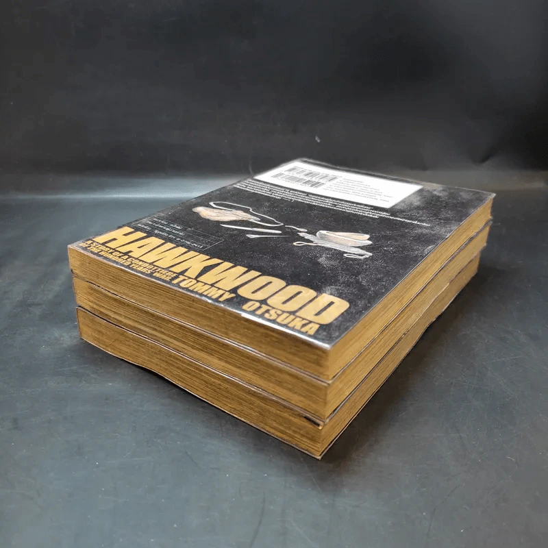 วีรบุรุษแผ่นดินเดือด Hawkwood เล่ม 1-3 รูปที่ 7