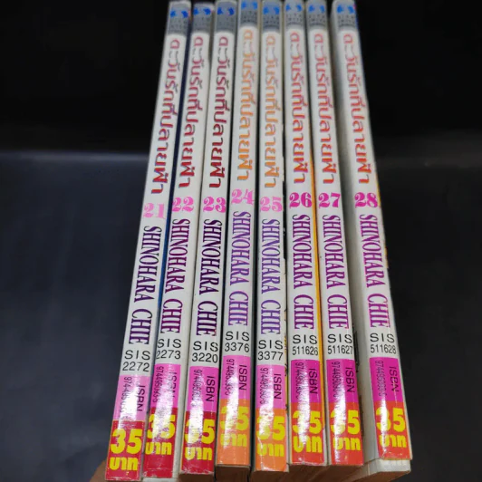 ตะวันรักที่ปลายฟ้า เล่ม 21-28 รูปที่ 13