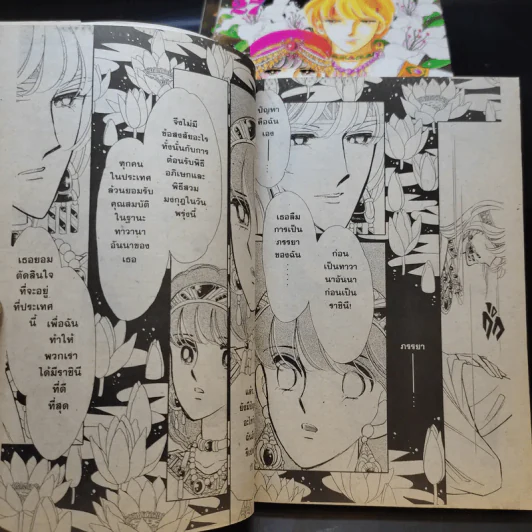 ตะวันรักที่ปลายฟ้า เล่ม 21-28 รูปที่ 10