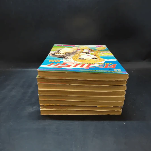 ตะวันรักที่ปลายฟ้า เล่ม 21-28 รูปที่ 5