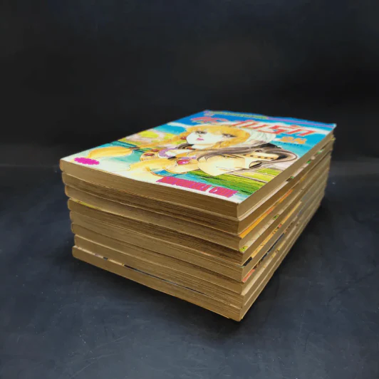 ตะวันรักที่ปลายฟ้า เล่ม 21-28 รูปที่ 6
