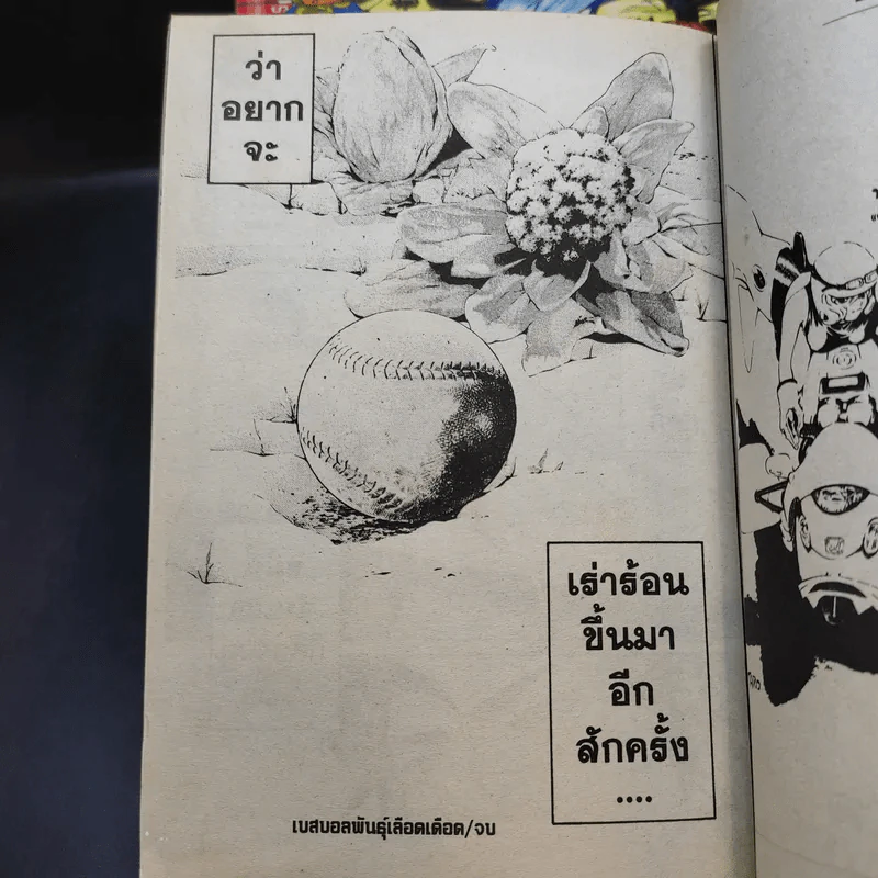 WBB เบสบอลพันธุ์เลือดเดือด 6 เล่มจบ รูปที่ 14