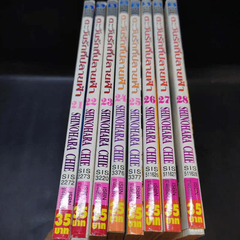 ตะวันรักที่ปลายฟ้า เล่ม 21-28 รูปที่ 13