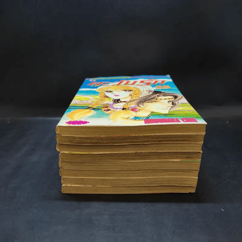 ตะวันรักที่ปลายฟ้า เล่ม 21-28 รูปที่ 3