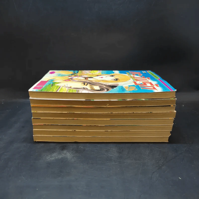 ตะวันรักที่ปลายฟ้า เล่ม 21-28 รูปที่ 4