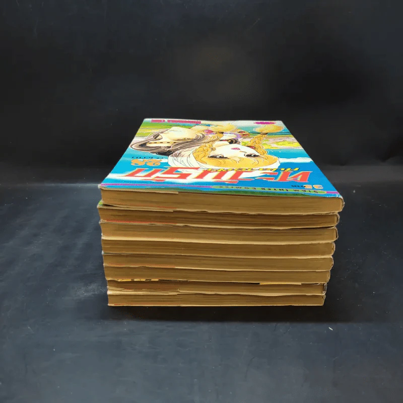 ตะวันรักที่ปลายฟ้า เล่ม 21-28 รูปที่ 5