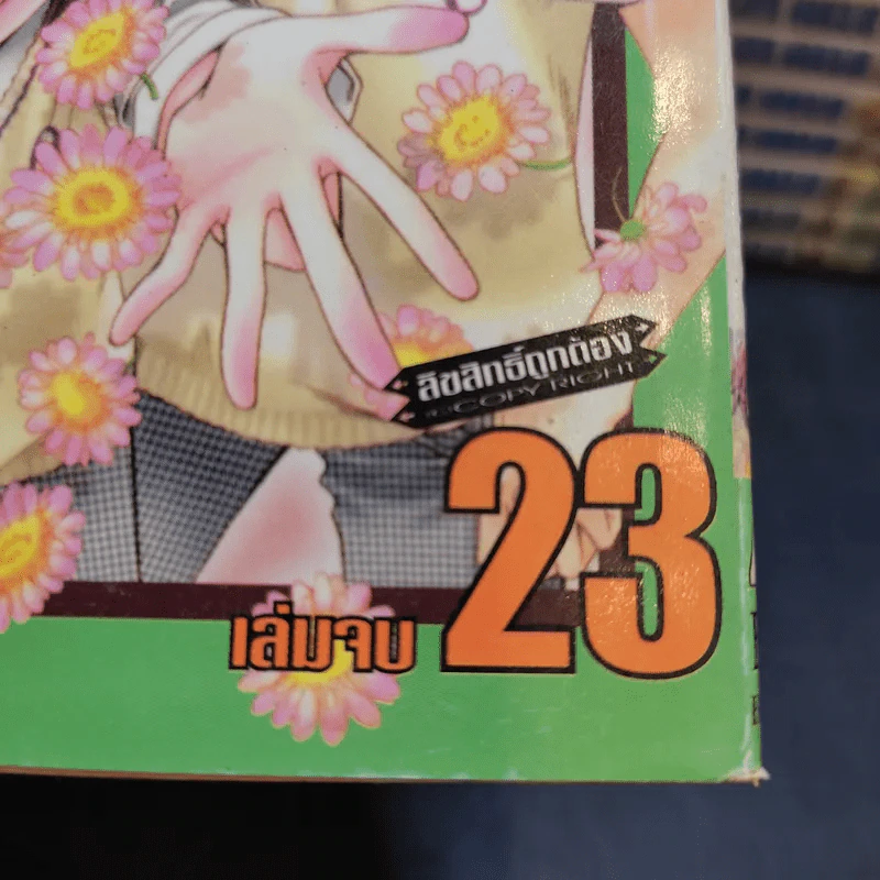 สับขั้วมาลุ้นรัก 23 เล่มจบ รูปที่ 7