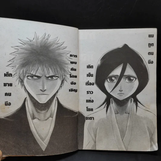 BLEACH เทพมรณะ ภาคพิเศษ รูปที่ 10