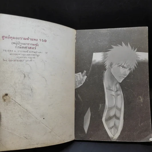 BLEACH เทพมรณะ ภาคพิเศษ รูปที่ 9