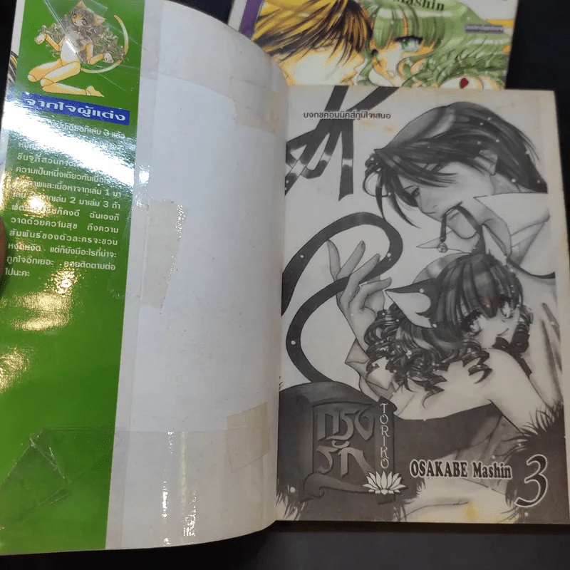 กรงรัก Toriko เล่ม 1-3 รูปที่ 9