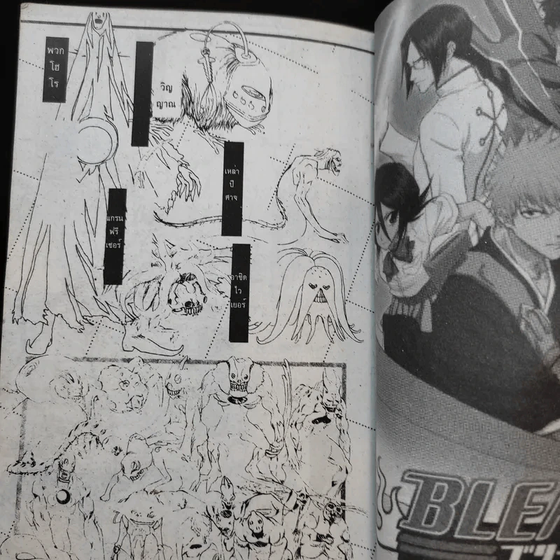 BLEACH เทพมรณะ ภาคพิเศษ รูปที่ 13