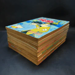 รันม่า 1/2 ไอ้หนุ่มกังฟู เล่ม 2,7,10,10,11,17,20 รูปที่ 6