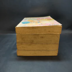 หัวใจซนค้นหารัก 4 เล่มจบเล่มหนา - ผู้เขียนโตเกียวจูเรียต รูปที่ 2