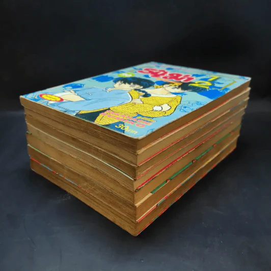 รันม่า 1/2 ไอ้หนุ่มกังฟู เล่ม 2,7,10,10,11,17,20 รูปที่ 6